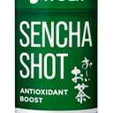 Ito En Sencha Shot, Japanese Green Tea, 6.4 Ounce (Pack of 30), Unsweetened, Zero Calories (EXP 01/29/28)