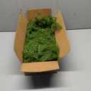 Hananona 2 Pcs 6 Ft Artificial Norfolk Pine Garlands, Real Touch Winter Pine Garland, Green Artificial Greenery Garland for Table, Mantle, Wall, Indoor, Outdoor Christmas Decorations (2, 6 FT)