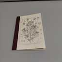 Hobonichi Notebook, Tomitaro Makino/Hobonichi Grid Notebook (A6), Yamazakura, 0.1 inch (3.7 mm) Grid, 240 Pages, 4 Colors, Notebook Accessories