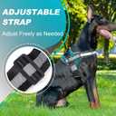 Essential Dog Harness with 3 Leash Clips - No-Pull, Adjustable, Comfortable Pet Vest Harness for Small to Large Dogs - Easy On, No Choke, Reflective, Padded Harness for Walking and Training (S(Neck:14-18",Chest:16-21"), Turquoise)