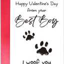 3 x TQDaiker Funny Valentines Card for Husband Wife, Best Boy Best Girl Card from Pet, Paw Card for Dog Dad Dog Mum, i Woof You