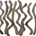 BNOSDM Reptile Forest Climbing Branch Decor Crested Gecko Climb Wood Natural Branches Tree for Snake Frog Chameleon Spider Bearded Dragon Terrarium Habitat Tank Accessories, 8PCS XL