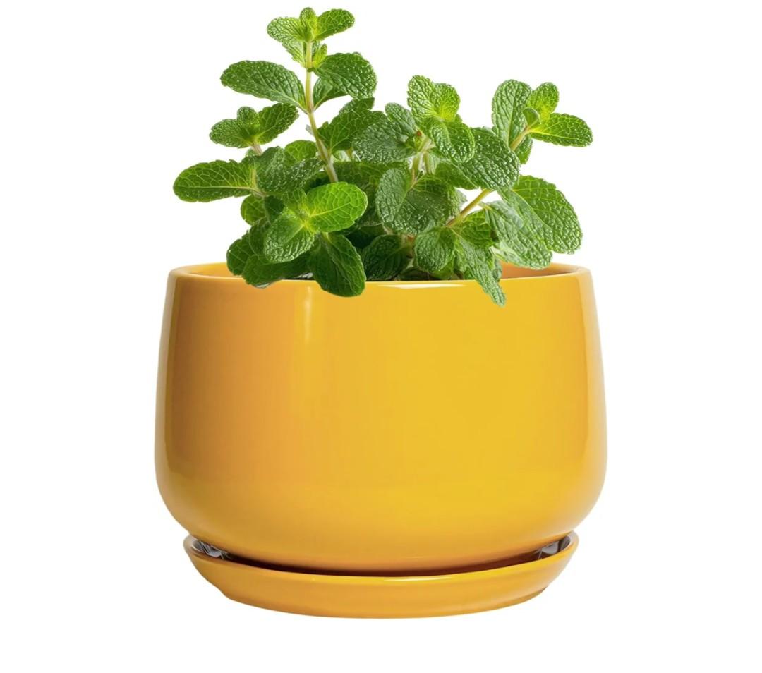 G EPGardening 4 Inch Ceramic Planter - Succulent Pots for Plants Indoor Outdoor, Small Plant Pots with Drainage Hole & Saucer, Round Planter, Modern Flower Pot, Home Decor, Plant Lover Gift, Yellow