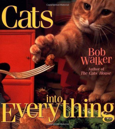 Cats Into Everything, hardcover