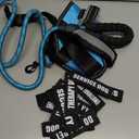 Service Dog Harness (Medium, Light Blue) with Reflective Strips, Leash, and 10 Patches, for Dog Training and Walking