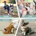 Washable Female Dog Diapers - Premium Reusable Diapers for Doggie in Heat - Highly Absorbent Dog Diapers Female for Pet Incontinence with Adjustable Snaps (Pink, M)