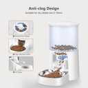 PETULTRA Automatic Cat Feeder: 4L Timed Cats Food Dispenser Programmable 1-6 Meal for Cat and Small Medium Dog- Auto Pet Feeder Dual Power Supply with Stainless Steel& | Detachable Washable White