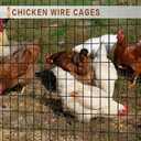 Tongmo 4 ft x 50 ft Black PVC Coated Welded Wire Fence, 16GA Garden Chicken Wire Fence Roll, Mesh Size 2" x 4" Hardware Cloth, Ideal for Yard Protection and Poultry Netting
