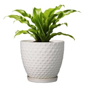 G EPGardening 7 Inch Ceramic Plant Pot with Drainage Hole and Saucer Round Planter Decorative Flower Plant Pot for Indoor Plants Outdoor White