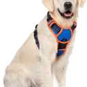 rabbitgoo Dog Harness No Pull with 2 Leash Clips, Adjustable Soft Padded, Reflective Oxford No Choke Pet Vest with Easy Control Handle for Large Dogs, Blue & Orange, XL