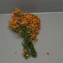 Dolicer 12 Pcs Upgrade Babys Breath Artificial Flowers, Fake White Babys Breath Flowers Artificial Bulk, Real Touch Silk Faux Gypsophila Bouquets for Wedding Arrangement Party Home Decoration(Orange)