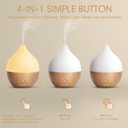 SALKING Essential Oil Diffuser, 100ml Small Aromatherapy Diffuser with Auto Shut-Off Function, Ultrasonic Diffusers for Essential Oils, Cool Mist Humidifier with Warm White Lights, for Office Home