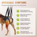 Dog Sling for Medium Dogs, Back Leg Support Harness for Mobility Assistance, Helps Support Dogs with Joint Issues, Walking Aid with Reflective Material, Size M