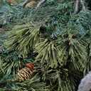 National Tree Company 7.5 ft Pre-Lit Carolina Pine Artificial Christmas Tree, 750 Clear Lights, 1,399 Tips, Includes Stand, Green