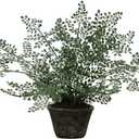 Nearly Natural 4251 Maiden Hair Artificial Plant in Planter Green Small