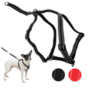 Ultimate Control Dog Harness, Black, Medium