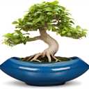 Bonsai Tree Pot 18 Inch - Ceramic Succulent Pots Large Bonsai Planter for Indoor Outdoor Plants Decorative Plant Pot with Drainage Hole Flower Pot for Home Garden Room Decor Blue