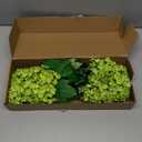 Hydrangea Artificial Flowers Fake Hydrangeas - Silk Flowers 4 Pack 28 Inch Long with 12 Real Touch Blooms, Snowball Viburnum for Wedding and Home Decor (Green)
