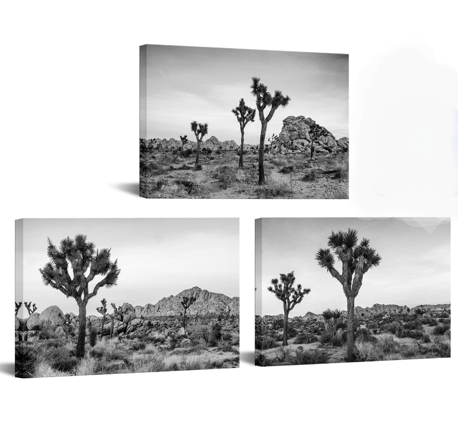 Nachic Wall Joshua Tree Landscape Canvas Print Black and White Southern California Desert Pictures Wall Art Stretched and Framed Artworks Modern Living Room Bedroom Office Home Decor (Medium)