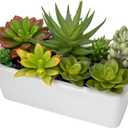 Artificial Succulents Plants in Ceramic Planter Assorted Faux Succulents in Pots Arrangement Fake Succulent Potted Plant for Home Office Desk Bathroom Shelf Living Room Indoor Outdoor Decor - Black (White#1)