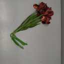Iris Flowers Artificial Real Touch Flowers 6 PCS 18.9 in Long Stems Artificial Iris for Decoration for Wedding Bridal Home Kitchen Party(Burgundy)