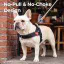 No Pull Dog Harness with Handle, Boston Terrier Adjustable Reflective Dog Vest, Breathable Air Mesh Padded Pet Harness with Front Leash Clip for Small Medium Dogs, Black, M