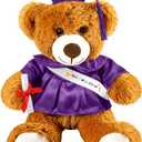 Foilswirl Graduation Bear 2026 with Gown Cap Tassel 9 Purple Graduation Stuffed Animal Plush Bear Toy for Class of 2026 Prek Preschool Kindergarten High School College Graduate Gift