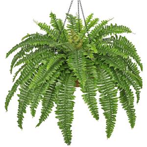 Fake Hanging Plants Large Boston Fern Artificial Plants Outdoor Realistic Fake Ferns with Palm Basket Silk Plants Ferns Hanging Plant Artificial Decor for Home Front Porch Window Garden - Green