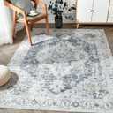 jinchan Area Rug 4x6 Washable Bedroom Rug Vintage Indoor Floor Cover Distressed Lightweight Non-Slip Low Pile Thin Mat Accent Stain Resistant Carpet for Living Room Dining Room Kitchen Office Grey