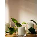 CANDWAX Unscented Ivory Votive Candles Set of 36 - Clean-Burning, Long-Lasting 15 Hour Burn - Ideal for Weddings, Home Dcor, Spa, Events - Bulk Value for Versatile Use
