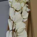 Cream White Eucalyptus Stems Fake Eucalyptu Leaves 34 Long Silver Dollar Leaves 5 Pcs Silk Eucalyptu Stems for DIY Bouquet Arrangements Centerpieces Shower Decorations-Artificial Eucalyptus Spray