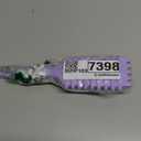 Curl Defining Brush, 1 PCS Curly Hair Brush, Brush for Curly Hair, for Combing and Shaping Men's and Women's Curls to Reduce Pulling (Purple)