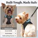 rabbitgoo Dog Harness Small Medium Sized and Leash Set, Step in Soft Light Puppy Vest, Breathable Mesh Pet Harness, Reflective for Safe Easy Walking, Black L
