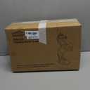 12.2 inches Standing Horse Resin Statue Horse Art Figurine Decorative Home Office Decor Ornaments for Desk Bookshelf Cabinet to Attract Luck and Wealth (Golden)