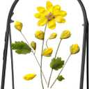 REDHUGO Double Glass Frame for Pressed Flowers Handmade, Metal Floating Picture Frame for Pressed Flower, Tabletop Display, Brass, ArcShaped, Black, 5x7 inches (FRAME ONLY)