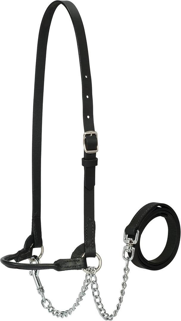 Weaver Leather Livestock Dairy Halter, X-Small, Black