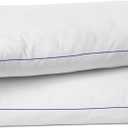 SILUI Flat Soft Thin Pillows Queen Size Set of 2 Pack Bed Pillow with Down Alternative Fill for Side Back Stomach Sleepers, 20x30 Inches, White