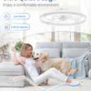 ZMISHIBO 24 Inch Ceiling Fans with Lights and Remote, Modern Low Profile Ceiling Fan, 3000-6000K Dimmable Flush Mount LED Fan Light, 6 Wind Speeds, Fandelier Ceiling Fans for Bedroom- White