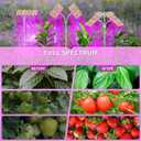 KINGPLUS Grow Lights with Stand, Double Head, Full Spectrum LED Grow Light for Indoor Plants, 240 Leds, 4 Dimmable Levels, Timer 4/8/12h, 12-60inches Height Adjustable, 36w, Ideal for Desk Small Plant