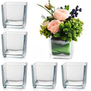 Set of 6 Square Glass Vases for Centerpieces 5in x 5in x 5in Clear Short Flower Vase, Plant Terrariums, or Candle Holders for Wedding Centerpieces, Office Decor, Home Dcor, Parties
