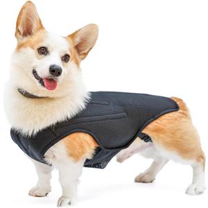 IVDD Back Brace for Dogs, Flexible Pet Dachshund Back Supporting Vest, Dog Back Bracer for Small Pet with Arthritis, Back Pain,Herniated Disc,Spinal Surgical Recovery (L)