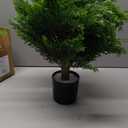 DREAMLOOM Topiary Cedar Trees Artificial Outdoor Ball in Planter, 1-Pack