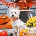 Halloween Dog Collar, Medium Dog Collar with Bow, Pumpkin Style for Girl Boy,Soft Adjustable Design for Small Medium DogsOrangeM
