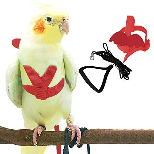 Dnoifne Pet Parrot Bird Harness and Leash, Adjustable Training Design Anti-Bite, Bird Nylon Rope with Cute Wing for Parrots, Suitable for Scarlet, Keck, Mini Macaw and Same Size Birds (Red)