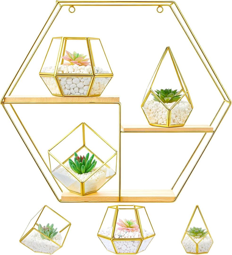 CroBlissful Hexagonal Decorative Metal Wall Shelves Include 3 Pcs Small Open Terrarium Planter Hexagonal Floating Wall Mounted Shelves for Bedroom Living Room Hallway Office Decor