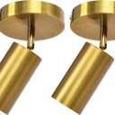 Track Lighting Ceiling Spotlight, Gold Ceiling Light Fixture, Gu10 Spotlights Indoor Angle Adjustment Modern Wall Lamp for Living Room, Gallery, Cabinet, Hallway, Bedroom 2 Packs