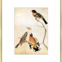 11x14 Picture Frame, Brass Metal Photo Frames with HD Glass, Fits 8x10 with Mat or 11 x 14 without Mat, Display for Wall and Table, 1 Pack