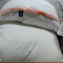 Casper Sleep Essential Pillow 2-Pack, Standard Size Medium Soft Feel, Down-Alternative Fill, Supports Side, Back & Stomach Sleepers