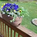 EMSCO Group Bloomers Railing Planter with Drainage Holes 24" Weatherproof Resin Planter Sand
