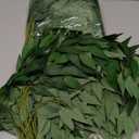 Artificial Italian Ruscus Greenery Stems, 20 Pack Faux Green Leaf Garland Branches Hanging Greenery Spray for Wedding Bouquet Arch Table Centerpiece Home Decor